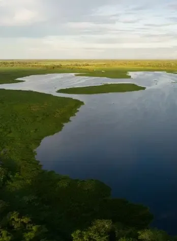 Image for Carbon Footprint Reduction section